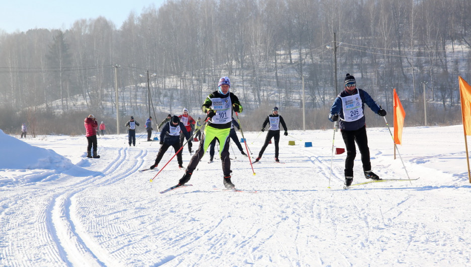 Алтайский губернатор встал на лыжи