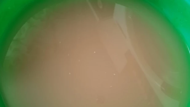 Жители алтайского села Марушка пожаловались на воду. 