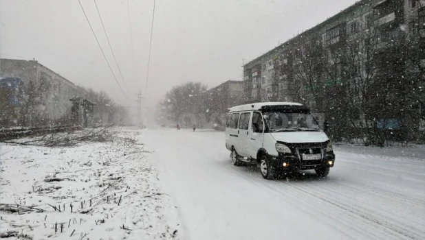 Общественный транспорт. Рубцовск.