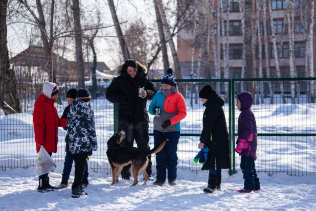 "Корги туса" в Барнауле. 