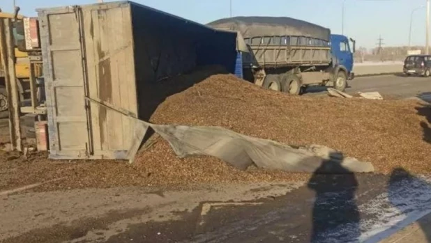 Под Барнаулом перевернулся прицеп с гречкой.