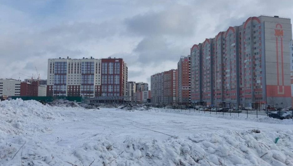 В Барнауле уничтожили саженцы в микрорайоне "Дружный".