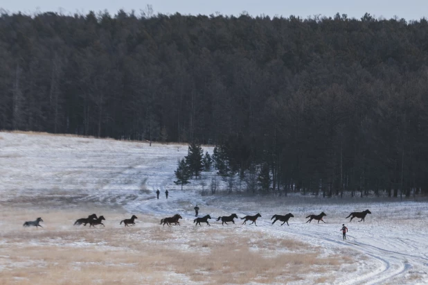 Гонка Adrenaline Rushians Ultra Ice Marathon.  