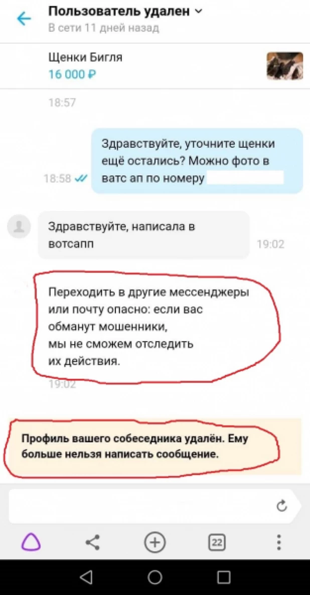 Россиянка продала жителям Алтая несуществующих щенят.