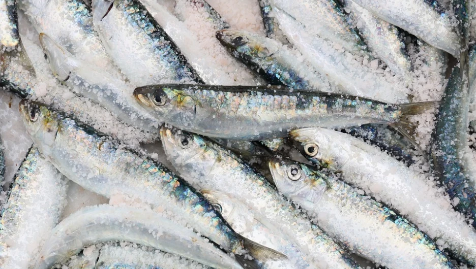 Рыба, морепродукты
