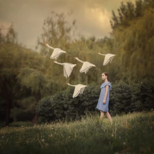 Гуси лебеди