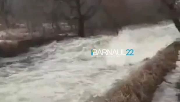 В Алтайском крае "шлюзы не выдержали" и вода понеслась к дороге.