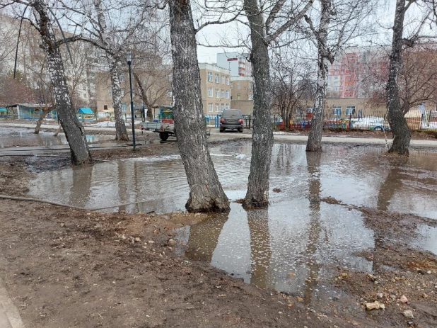 В Барнауле затопило Мизюлинскую рощу.