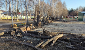 Вырубка деревьев в парке "Лесная сказка"