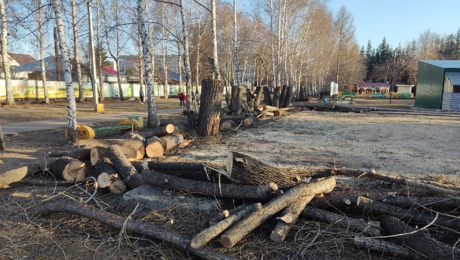 Одни пеньки. Барнаульцу не понравилась массовая вырубка деревьев в парке "Лесная сказка"