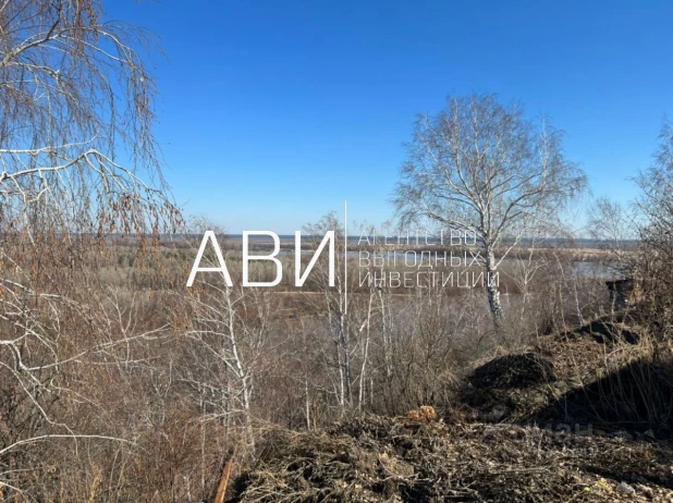 В пригороде Барнаула продается домик с лазурными фасадами и большим плодоносящим садом.