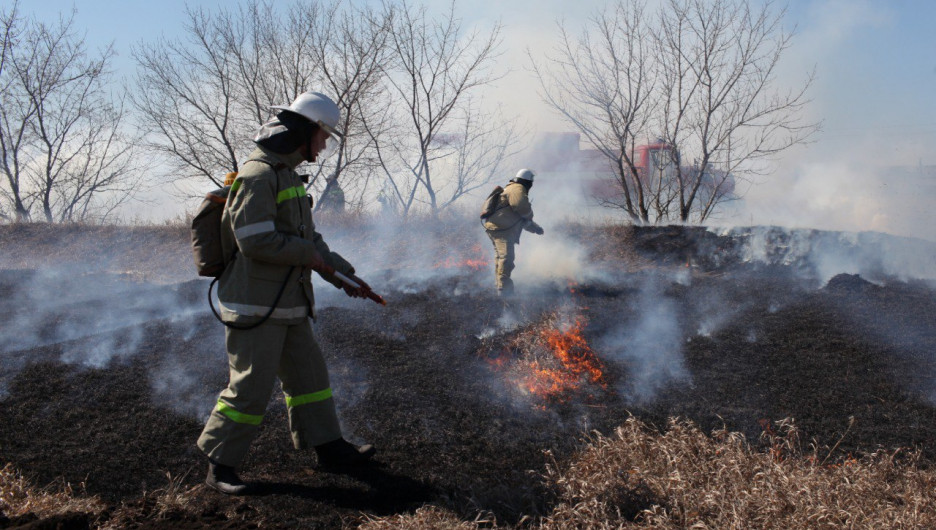 Более 150 пожаров за сутки. Чрезвычайную пожароопасность ожидают в Алтайском крае 9 и 10 мая