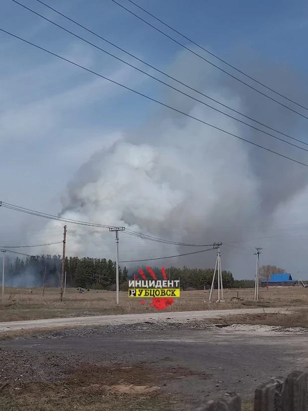 Лесной пожар в Егорьевском районе.