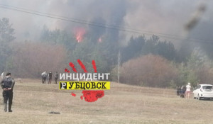 Лесной пожар в Егорьевском районе.