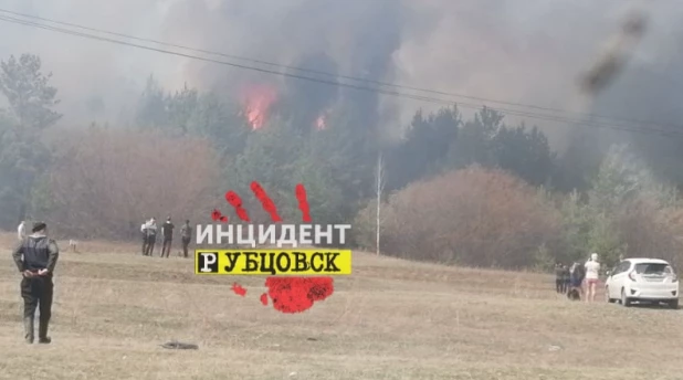 Лесной пожар в Егорьевском районе.