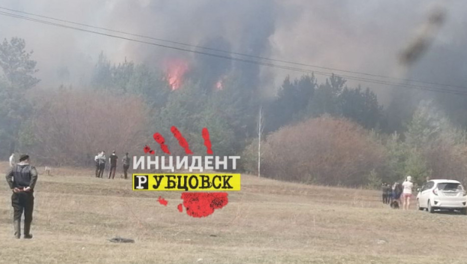 Лесной пожар в Егорьевском районе.