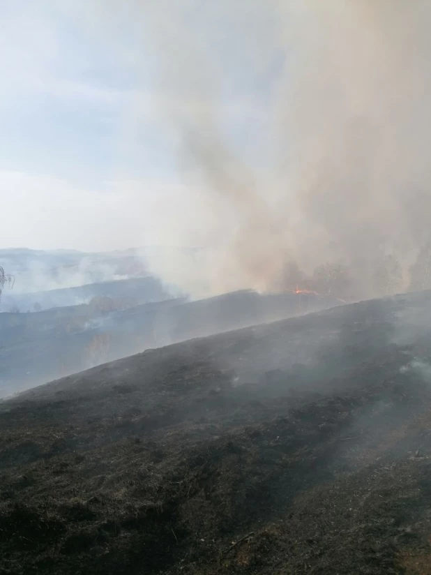 Пожар в урочище Страшной лог в Республике Алтай.

