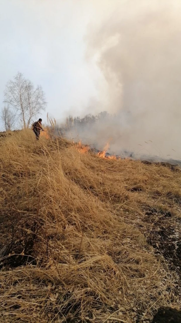 Пожар в урочище Страшной лог в Республике Алтай.

