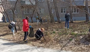 В Барнауле наводят порядок в зеленых зонах.