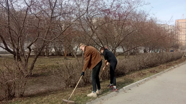 В Барнауле наводят порядок в зеленых зонах.