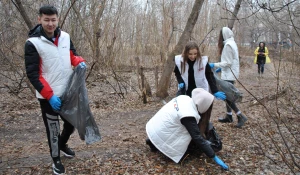 Барнаульские единороссы провели экологическую акцию «Чистый парк — чистому району».