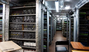 "Библионочь-2022" в библиотеке им. Шишкова