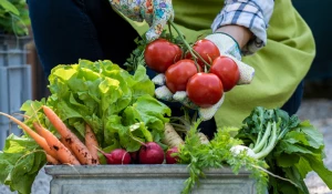 Органическая продукция