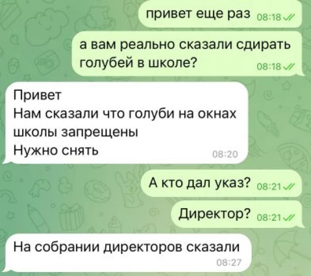 В Кузбассе сотрудники образования сообщили о требовании не использовать изображение голубей.