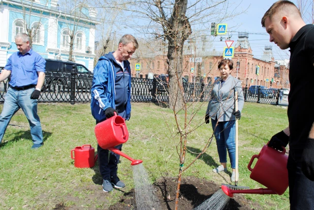 Общегородской субботник.