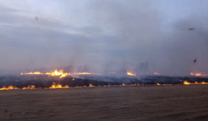 Пожар в Смоленском районе.