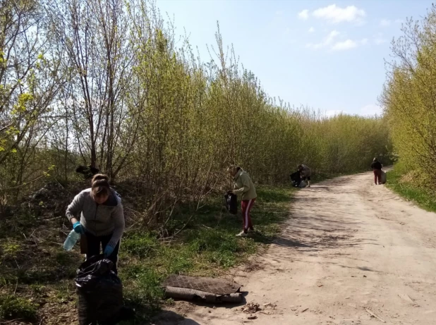 Безымянное озеро в Барнауле очистили от мусора.