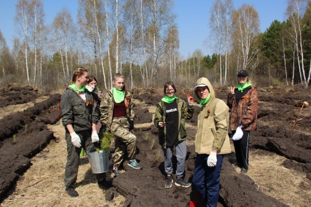 «Сад памяти» в Сорокинском участковом лесничестве.