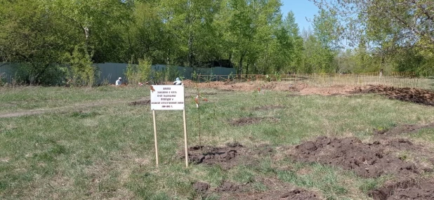 Участок парка "Лесная сказка", где намерены построить новый аттракцион.