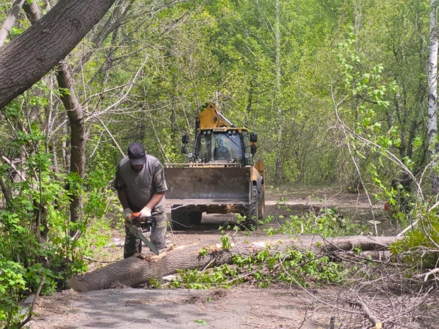 В парке «Юбилейный» в Барнауле начались работы по благоустройству