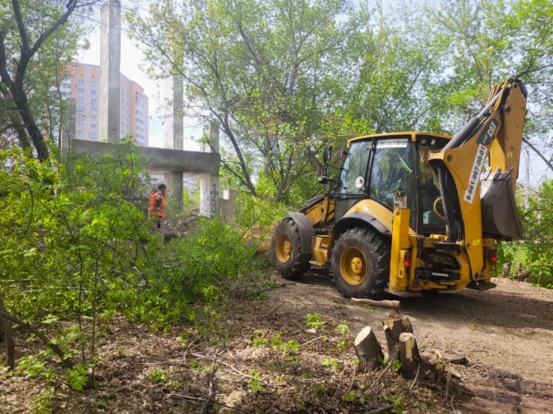 В парке «Юбилейный» в Барнауле начались работы по благоустройству