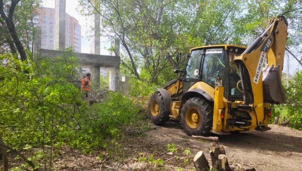 В парке «Юбилейный» в Барнауле начались работы по благоустройству