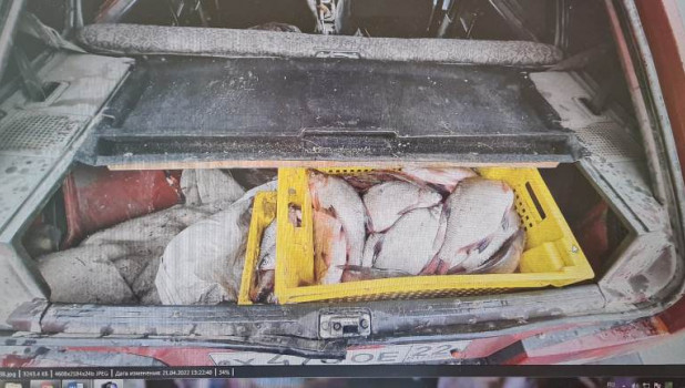 В Каменском районе сотрудники полиции задержали браконьера с богатым уловом