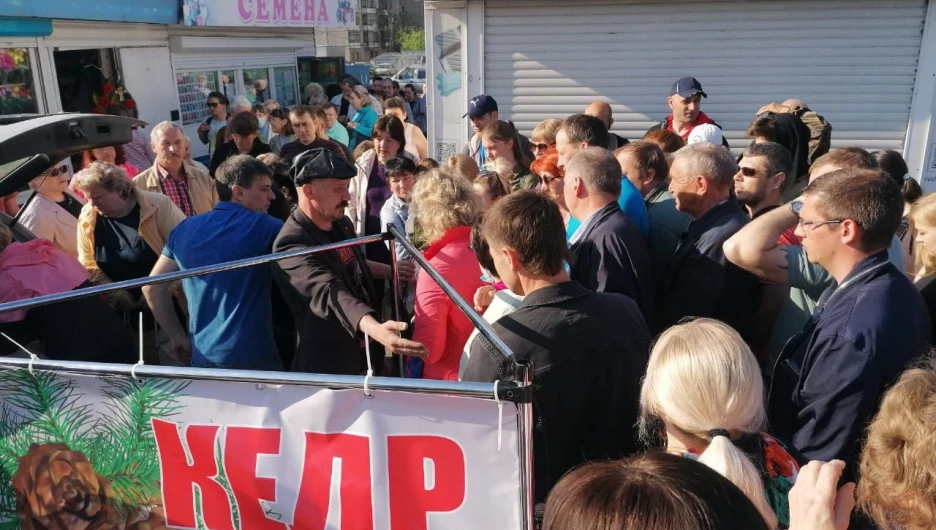 Барнаульцы толпой бросились к коммунистам за бесплатными саженцами