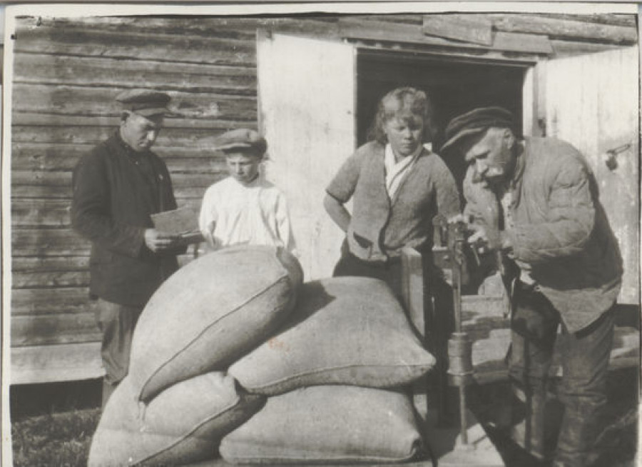 Вывоз хлеба. 1930 год.