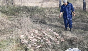 В Алтайском крае задержали мужчину с сотней карасей - ему грозит уголовное дело