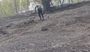 Искателей кладов подозревают в поджоге лесов в Алтайском крае