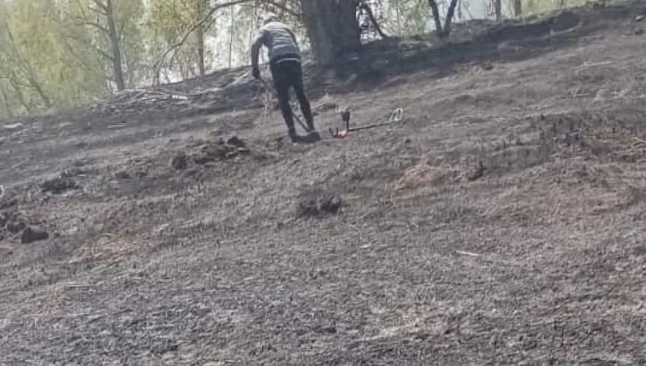 Искателей кладов подозревают в поджоге лесов в Алтайском крае