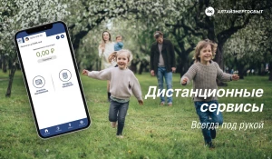 Дистанционные сервисы.