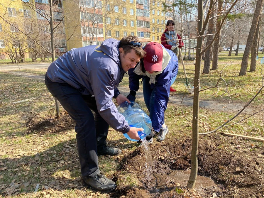 Эко-проект.