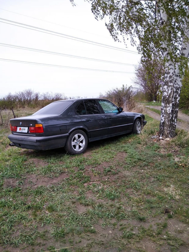 Седан BMW Е34 пятой серии, выпущенный в 1992 году, продается в Барнауле за 239 тыс. рублей.