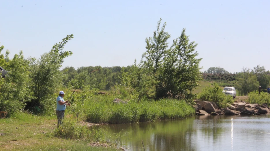Мальков выпустили в зарастающее озеро в Шахах.