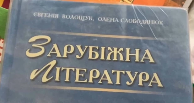 Русскую литературу на находившихся под контролем Киева территориях ЛНР преподавали как иностранную.