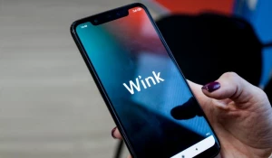 Wink включен в реестр отечественного программного обеспечения.