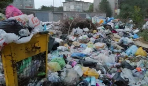 Рубцовчане жалуются на свалку мусора в центре города 