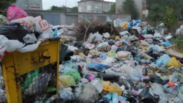 Рубцовчане жалуются на свалку мусора в центре города 
